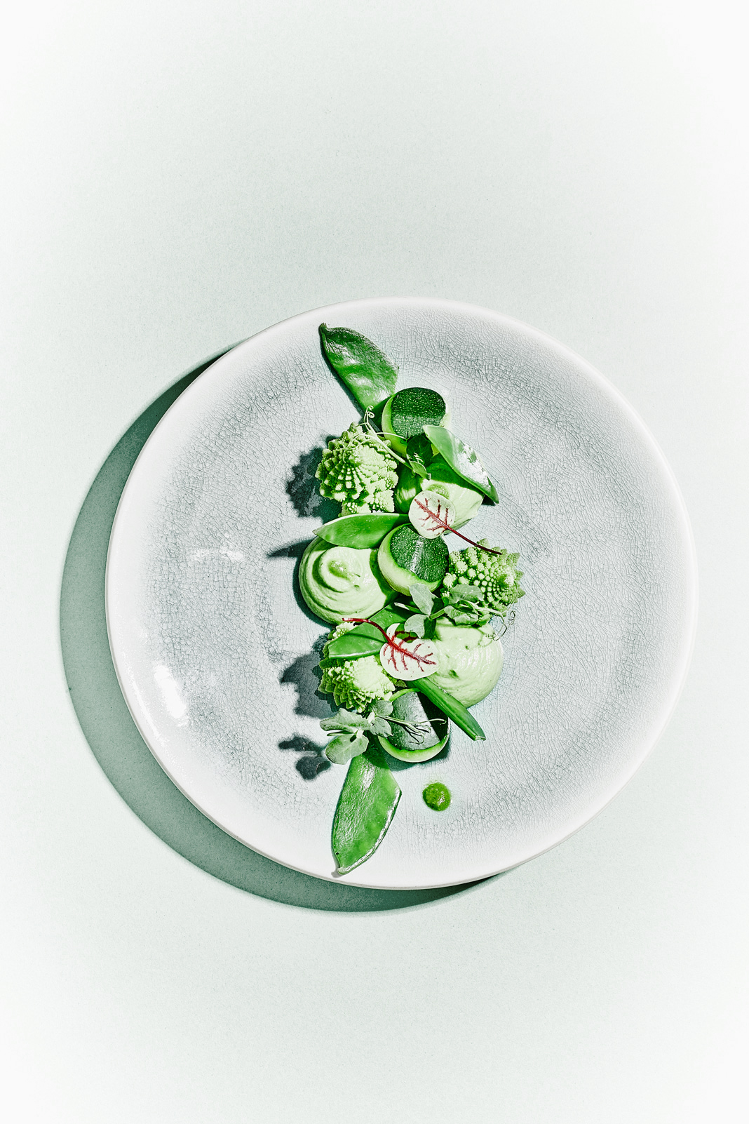 photographie culinaire minimal assiette de composition de courgettes romanesco dégradé de vert gris clair