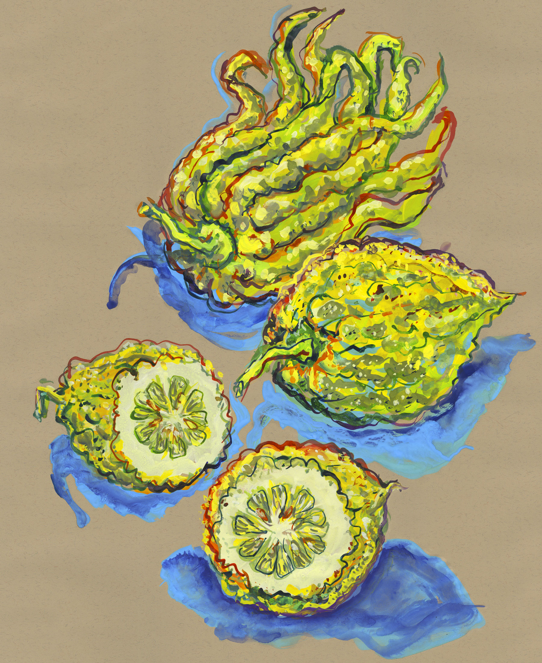 illustration en couleur jaune, bleu sur fond beige du fruit Cedrat main de Bouddha par Patrick Pleutin pour M Le Monde Cook Cmyk Agent
